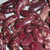 Purple Speckled Kidney beans