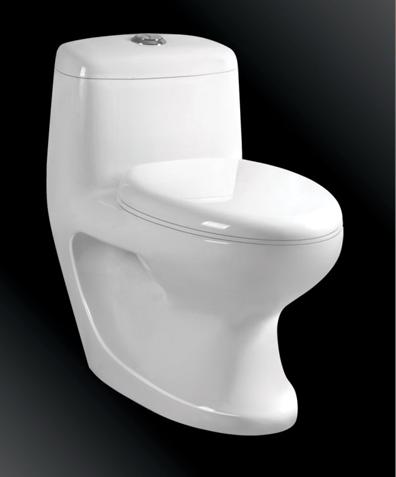 Washdown One-piece Toilet