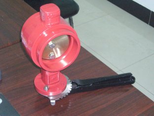 Groove End Butterfly Valve