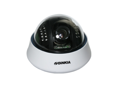 IR Dome Camera (DS-CD202)