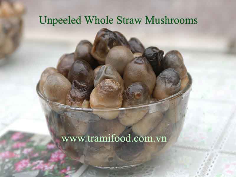 Sell Canned Straw Mushroom Unpeel
