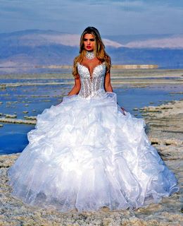 wedding dress,bridal gowns