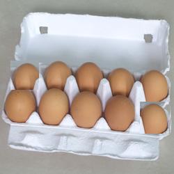 egg  tray
