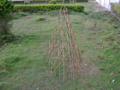 dried flat pine broom,witch whisk,pine fence,bamboo fence