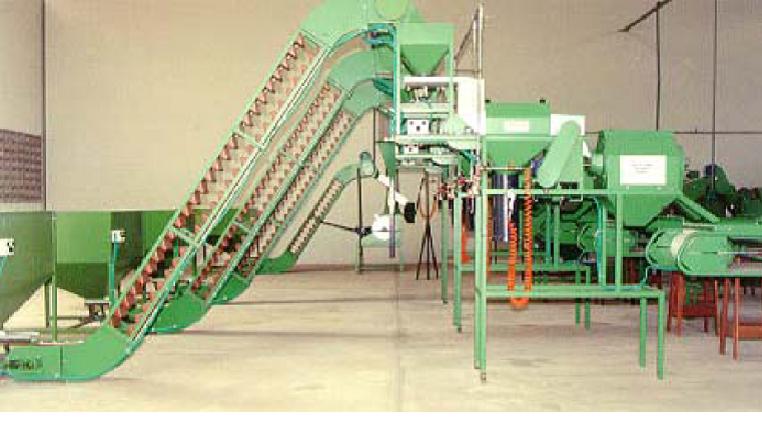 Cashew Nuts Processing Machinery