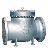 Carbon steel flanged RF RTJ check valve class 150 300 600