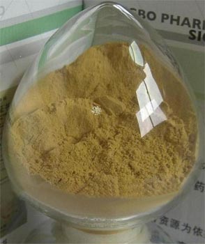 herb extract,plant extract