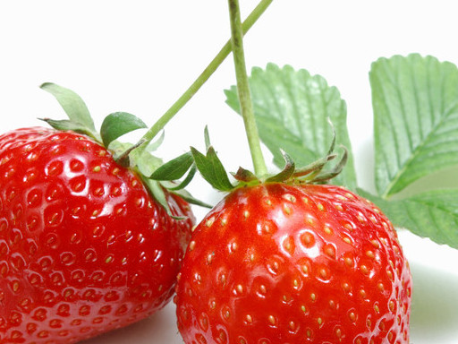 Strawberry extract
