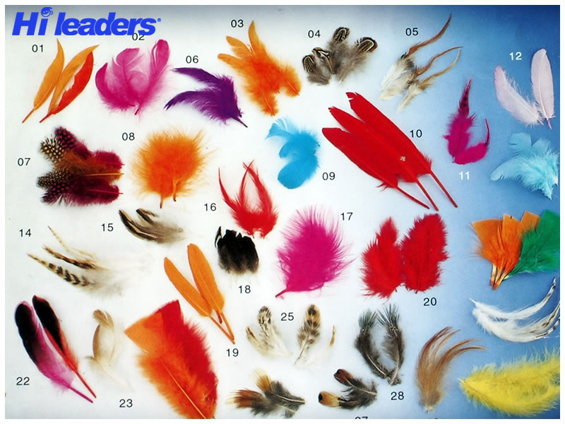 Decorative dyed feather