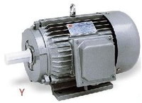 Y Series Three-Phase Asynchronous Induction Motor