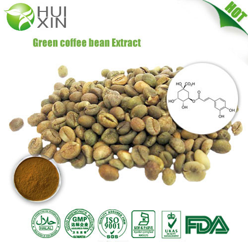 Green coffee bean extract 20%,30%,50%