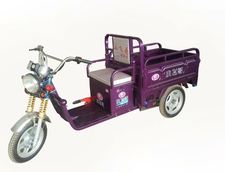 electric tricycle (QXSG504810)