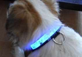 Flashing pet collar