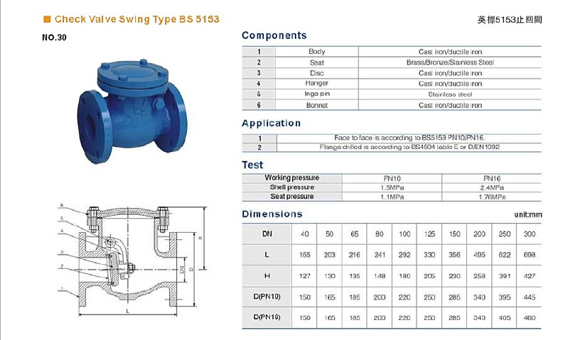 Check valves swing type BS5153