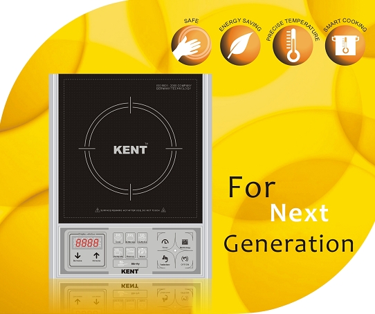 INDUCTION COOKER