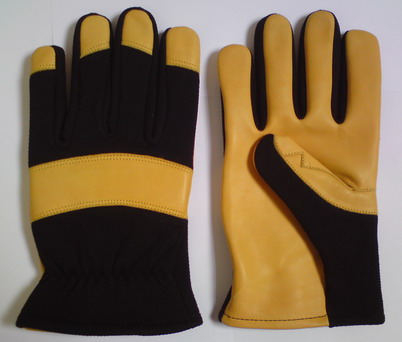Leather Glove, Mechanical Glove & Sports Glove