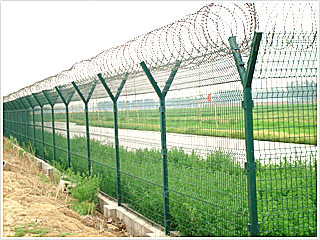 Y Shaped Fence with Barbed Wire