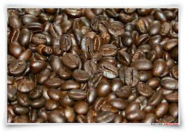 Luwak Coffee/Civet Coffee