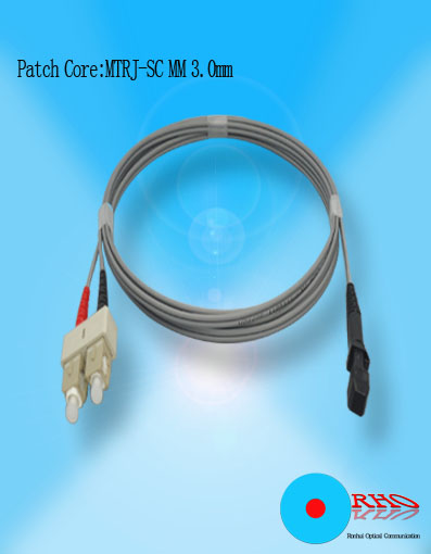 Multi-mode MTRJ Fiber Optic Patch Cord