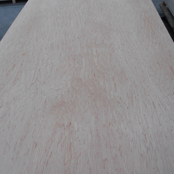 Furniture used Bintangor plywood with poplar core