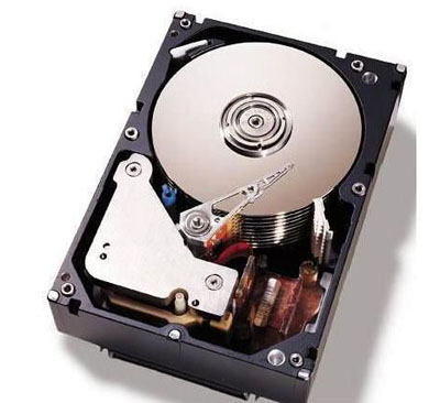 Server Hard Disk 43W7626