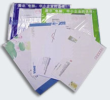 Direct Mailing - Promus Services No.1 2011