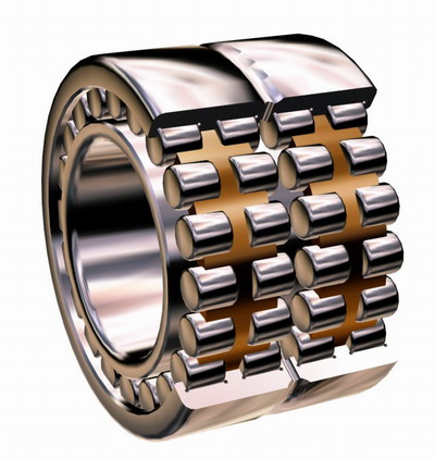 SL0450PP cylindrical roller bearing