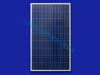 100W poly solar panel