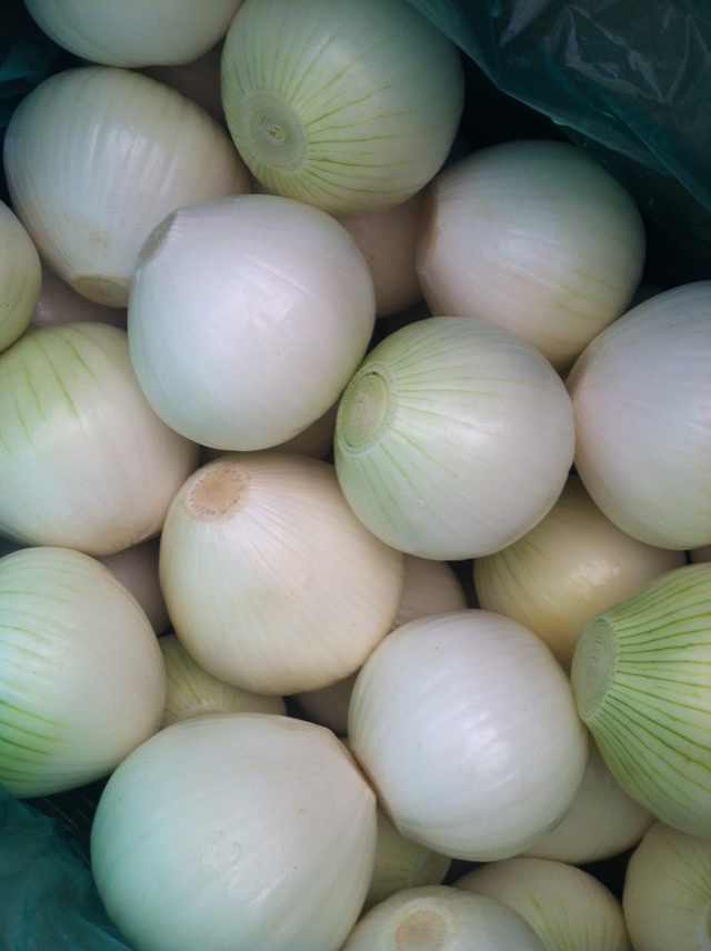 peeled onion