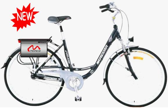 offer newest electric bicycle