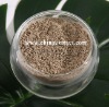 Coriolus versicolor powder
