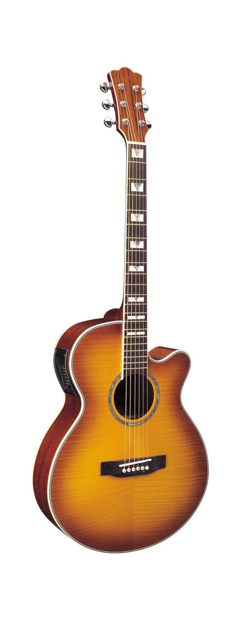 acoustic guitar LMJG-16M-CE
