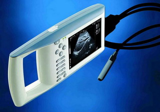 Digital Palmtop Vet Ultrasound Scanner(BW520V)