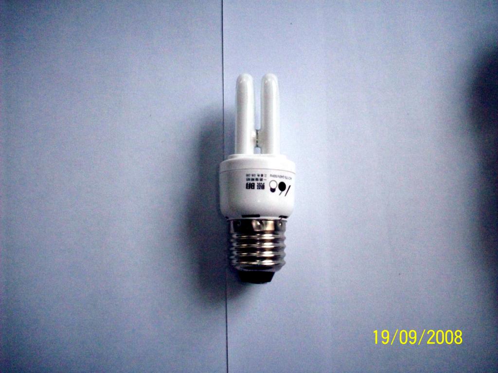 2U Energy Saving Lamps