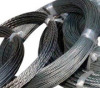 Galvanized Twisted Wire For Sale