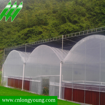 Muti-Span Plastic Greenhouse