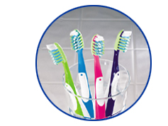 Importer of Toothbrush & Toothpaste