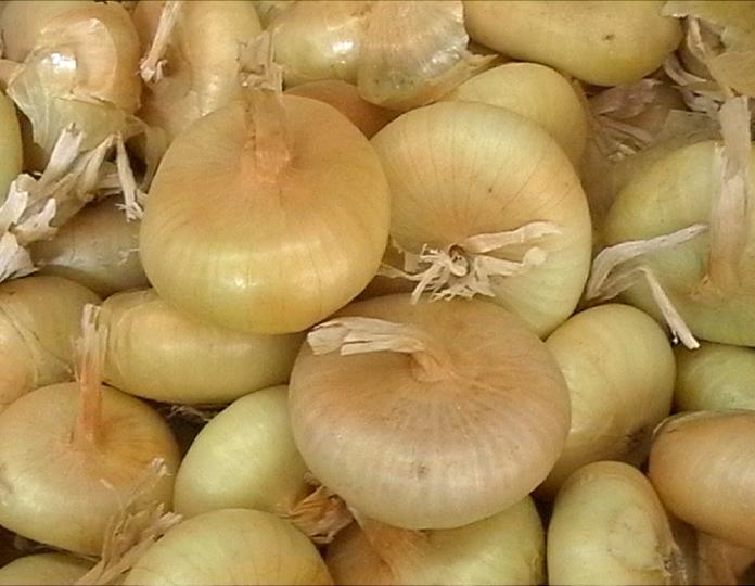 Borettana Onion