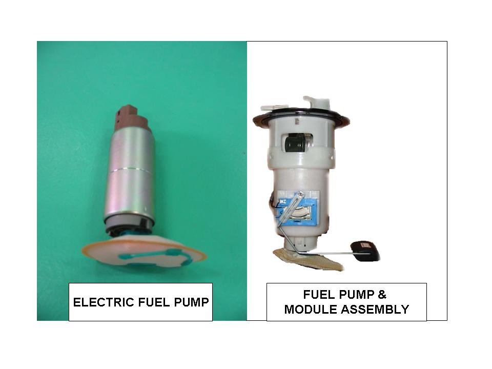 Electrical Fuel Pump & Module Assembly
