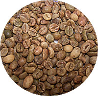 Robusta Coffee Bean