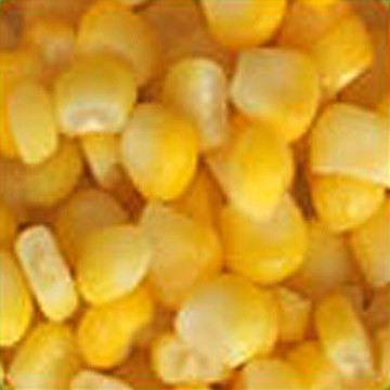 Bushel Of Corn. Yellow Feed Corn