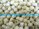 Sell Vietnam Lotus Seed