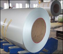 Prepainted / Colour Coated Steel Coils and Sheets
