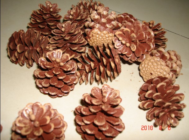 plastic pinecone