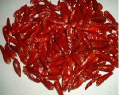 Sell red chillie