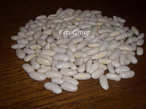 sell white beans